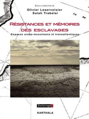 cover image of Résistances et mémoires des esclavages Espaces arabo-musulmans et transatlantiques